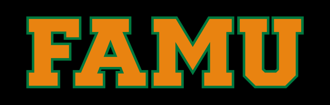 Florida A&M Rattlers 2013-Pres Wordmark Logo 15 iron on paper